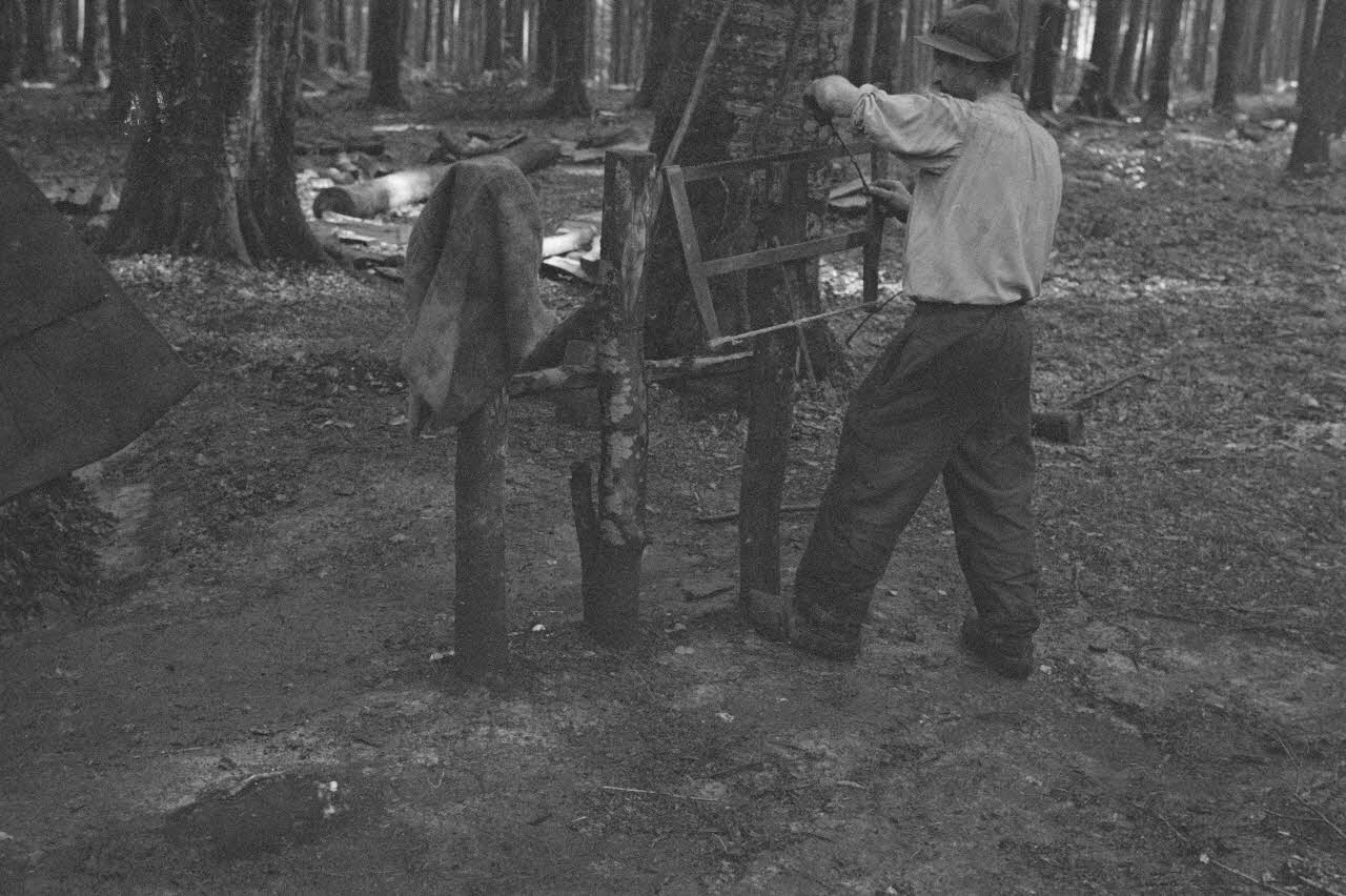 Heinz Lehmann photographie Le charbonnier affûtant la scie Haute-Normandie, France 1936/6/29 Ph.1936.727 Photo