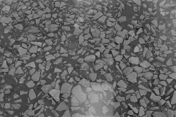 Guy Pison photographie MNATP. Enquête à Romenay Bourgogne, France 1937/3/19 Ph.1937.210  Photo