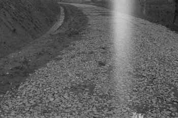 Guy Pison photographie MNATP. Enquête à Romenay Bourgogne, France 1937/3/19 Ph.1937.212  Photo