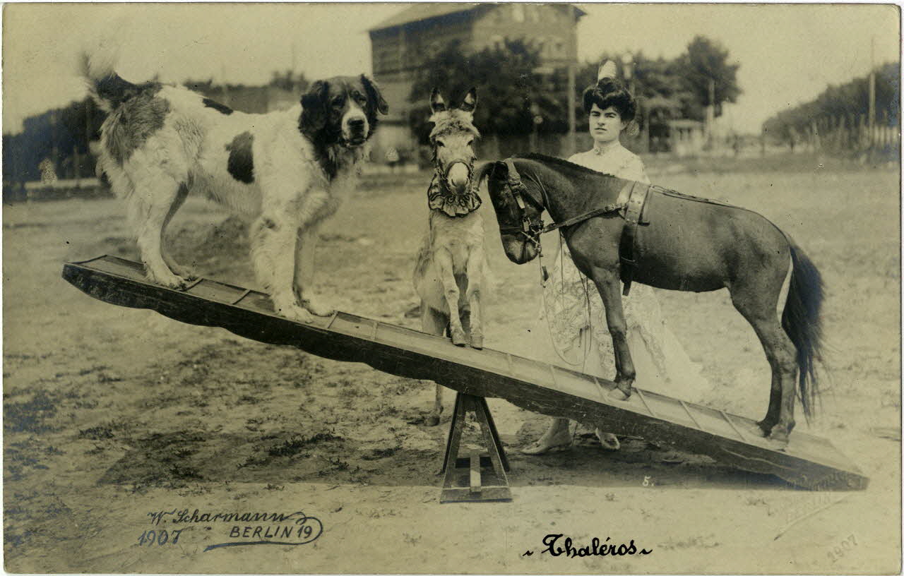 photographie Album n°10 du fonds Soury Sou.10.54.1 Photo