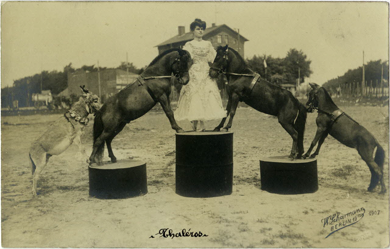 photographie Album n°10 du fonds Soury Sou.10.54.2 Photo