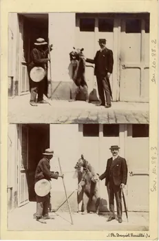 photographie Album n°10 du fonds Soury Sou.10.88.2  Photo