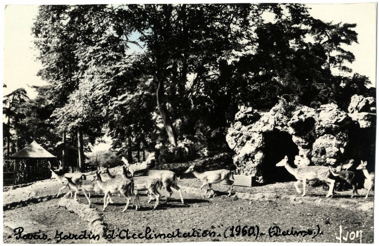 Yvon photographie Album n°20 du fonds Soury Ile-de-France, France 1960 Sou.20.127.1 Photo
