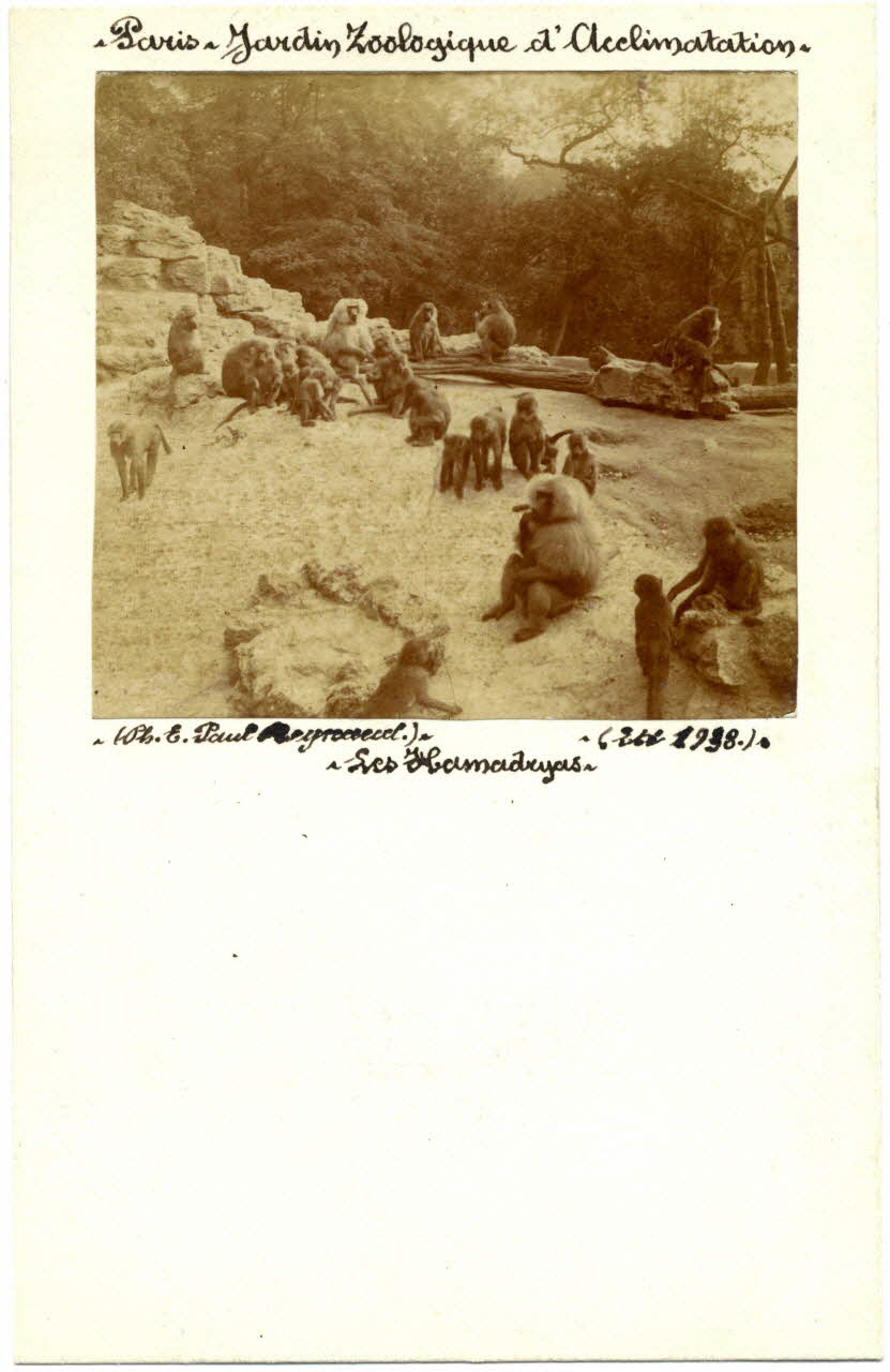 E. Paul Reynaud photographie Album n°20 du fonds Soury Ile-de-France, France 1938/06/21 Sou.20.16.1 Photo