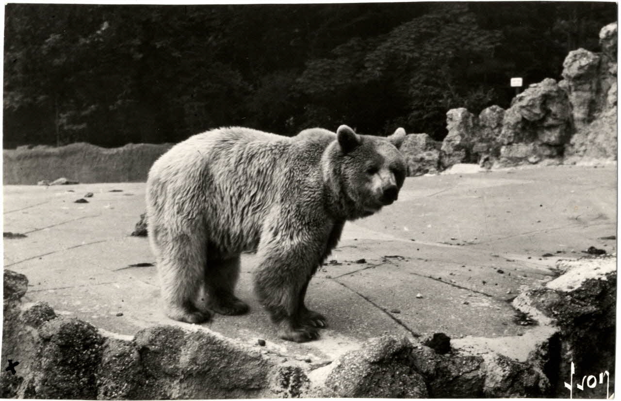 Les éditions d'art Yvon photographie Album n°20 du fonds Soury Ile-de-France, France 1962 Sou.20.24.1 Photo