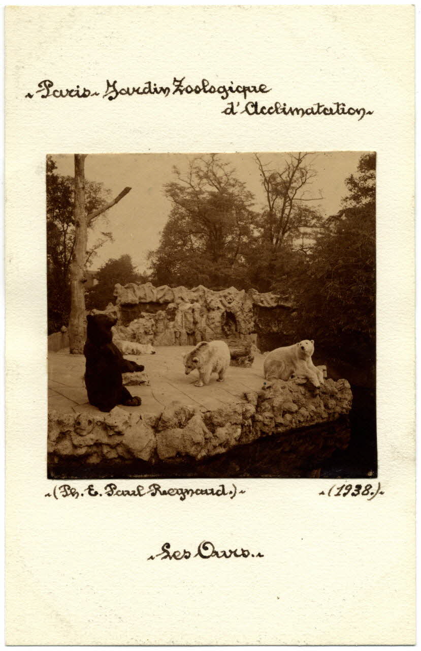 E. Paul Reynaud photographie Album n°20 du fonds Soury Ile-de-France, France 1938 Sou.20.25.2 Photo