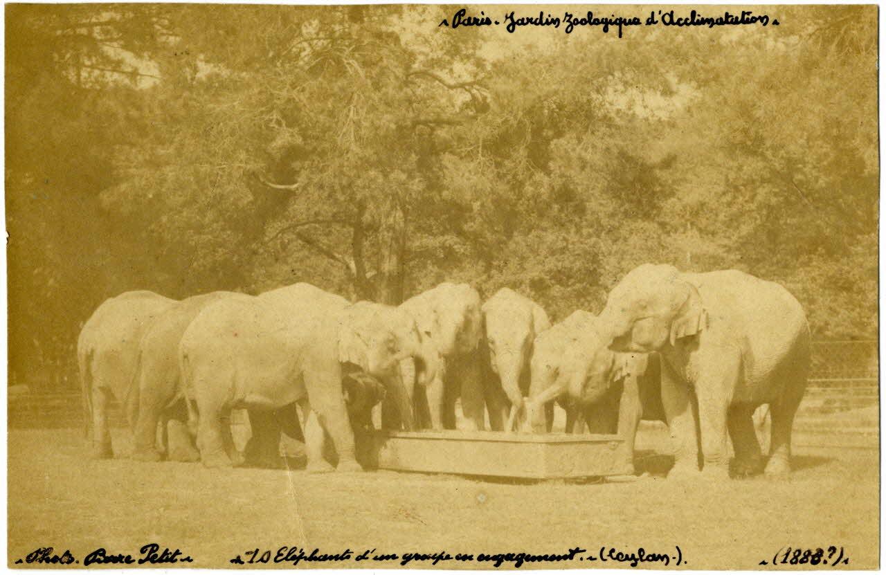 Pierre Petit photographie Album n°20 du fonds Soury Ile-de-France, France 1883-1893 Sou.20.28.1 Photo