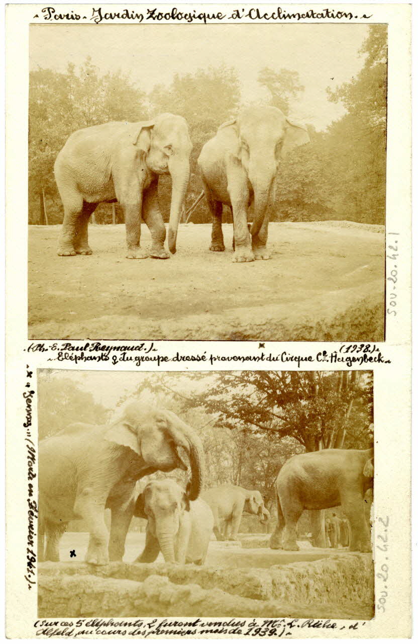 E. Paul Reynaud photographie Album n°20 du fonds Soury Ile-de-France, France 1938 Sou.20.42.1 Photo