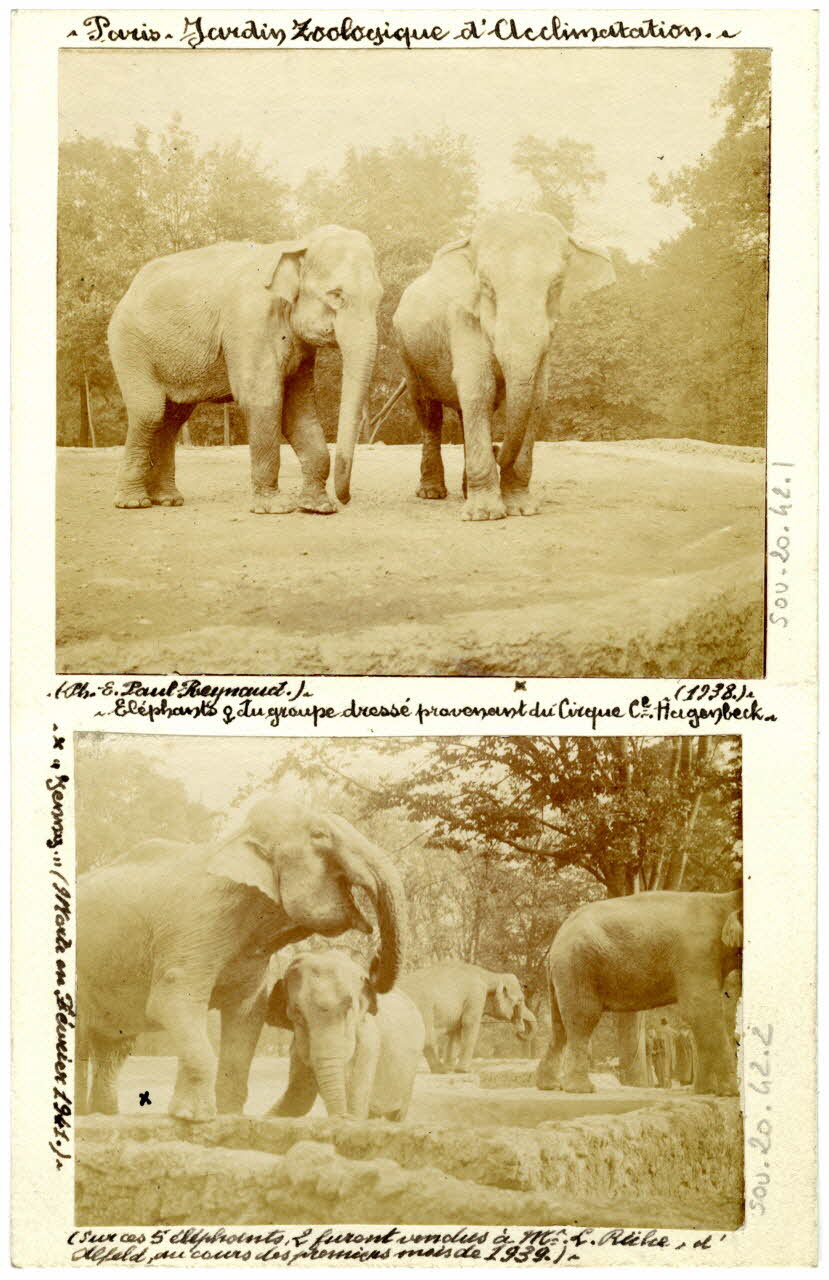 E. Paul Reynaud photographie Album n°20 du fonds Soury Ile-de-France, France 1938 Sou.20.42.2 Photo