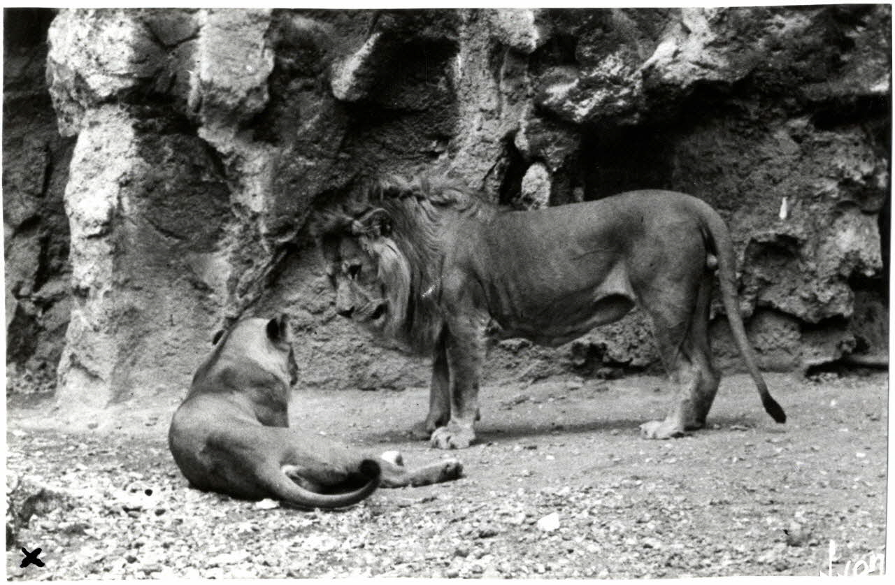 Les éditions d'art Yvon photographie Album n°20 du fonds Soury Ile-de-France, France 1962 Sou.20.9.2 Photo