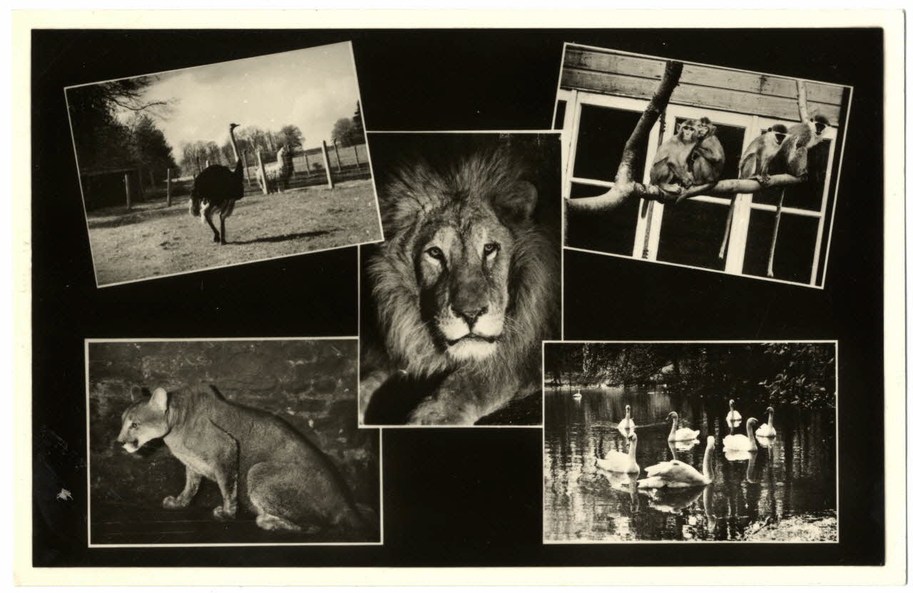 photographie Album n°21 du fonds Soury Sou.21.75.1 Photo