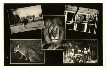 photographie Album n°21 du fonds Soury Sou.21.75.1  Photo