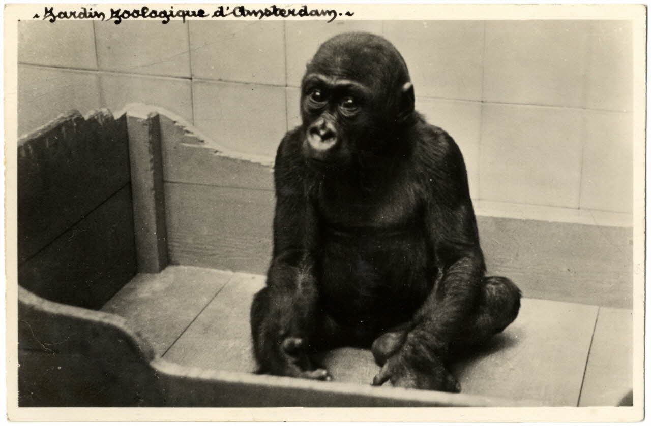 photographie Album n°21 du fonds Soury Sou.21.79.2 Photo