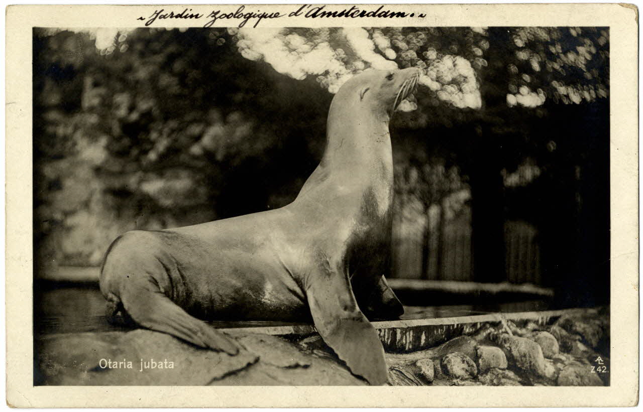 photographie Album n°21 du fonds Soury Sou.21.80.2 Photo