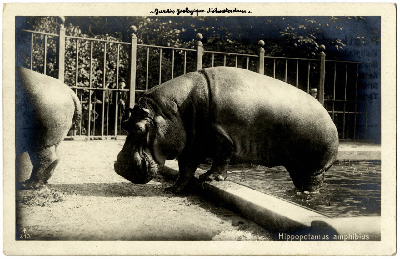 photographie Album n°21 du fonds Soury Sou.21.81.2 Photo