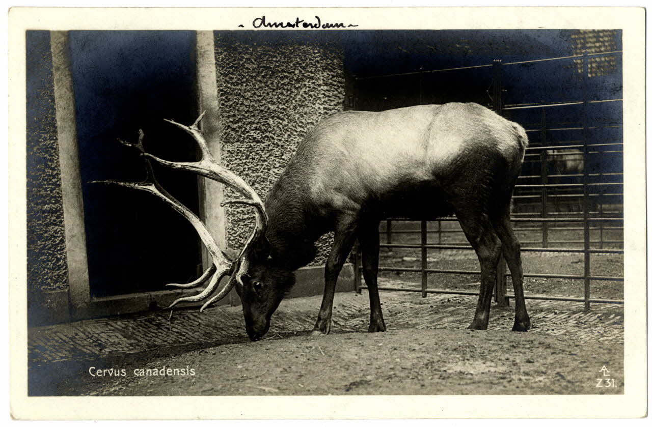 photographie Album n°21 du fonds Soury Sou.21.83.2 Photo
