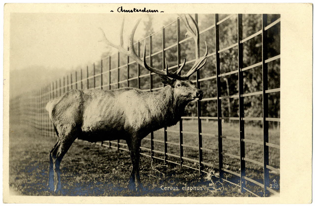 photographie Album n°21 du fonds Soury Sou.21.84.1 Photo