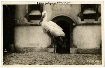 photographie Album n°21 du fonds Soury Sou.21.87.2  Photo