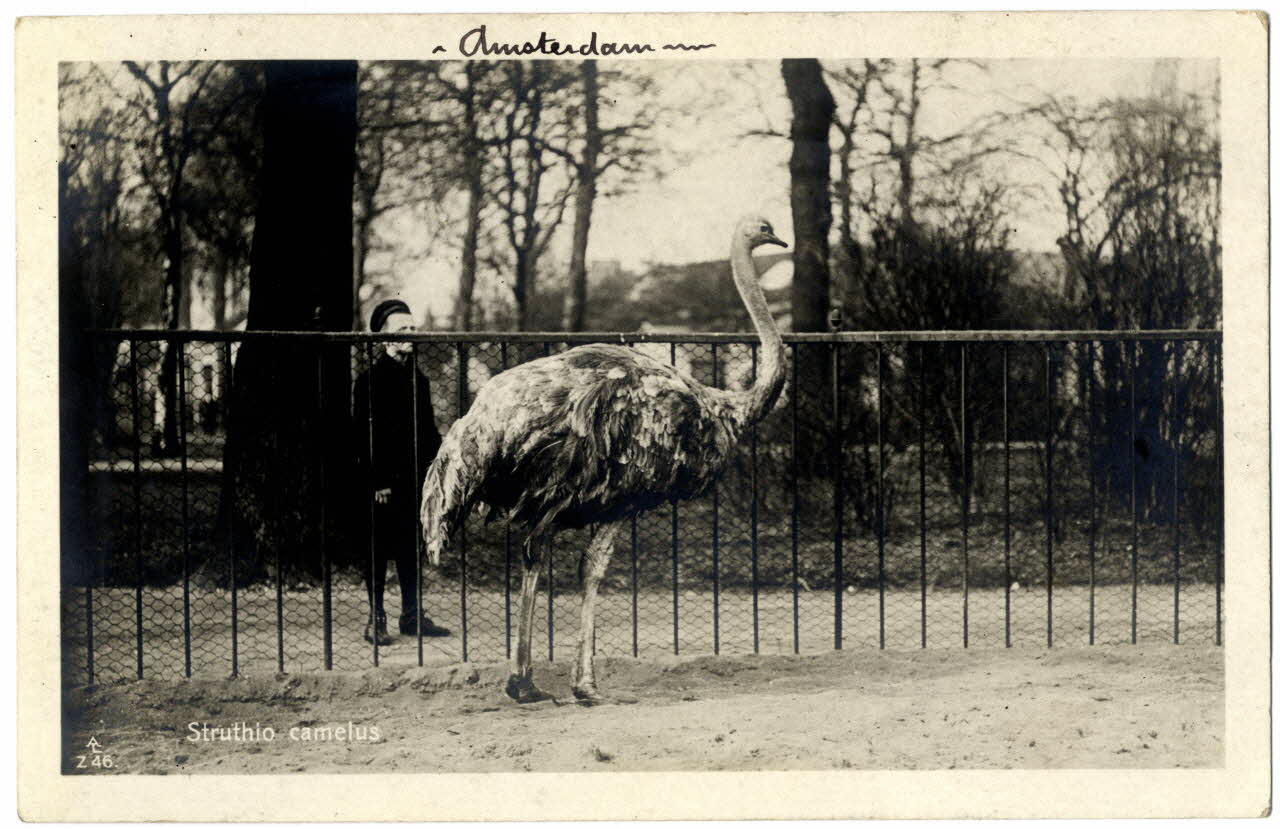 photographie Album n°21 du fonds Soury Sou.21.88.1 Photo