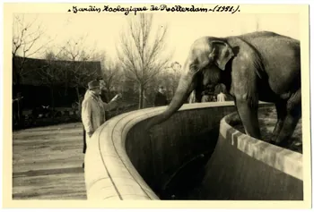Anonyme photographie Album n°21 du fonds Soury Province de Hollande-Septentrionale, Pays-Bas 1951 Sou.21.91.2  Photo