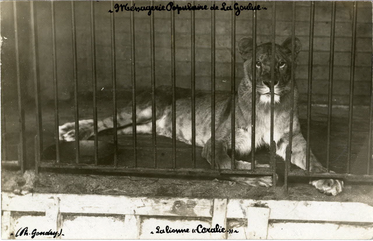 photographie Album n°4 du fonds Soury Sou.4.143.1 Photo