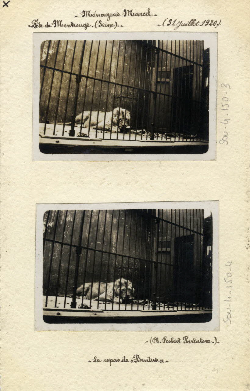Robert Parlatore photographie Album n°4 du fonds Soury Ile-de-France, France 1920/07/31 Sou.4.150.3 Photo