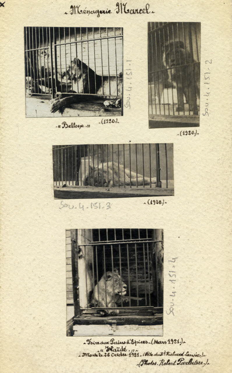 Robert Parlatore photographie Album n°4 du fonds Soury 1921/03/01 Sou.4.151.3 Photo