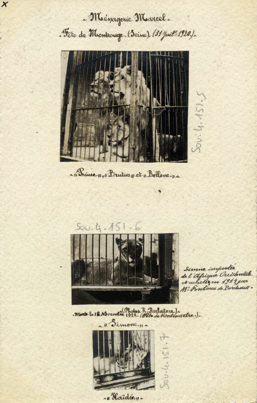 Robert Parlatore photographie Album n°4 du fonds Soury 1920/07/31 Sou.4.151.7 Photo