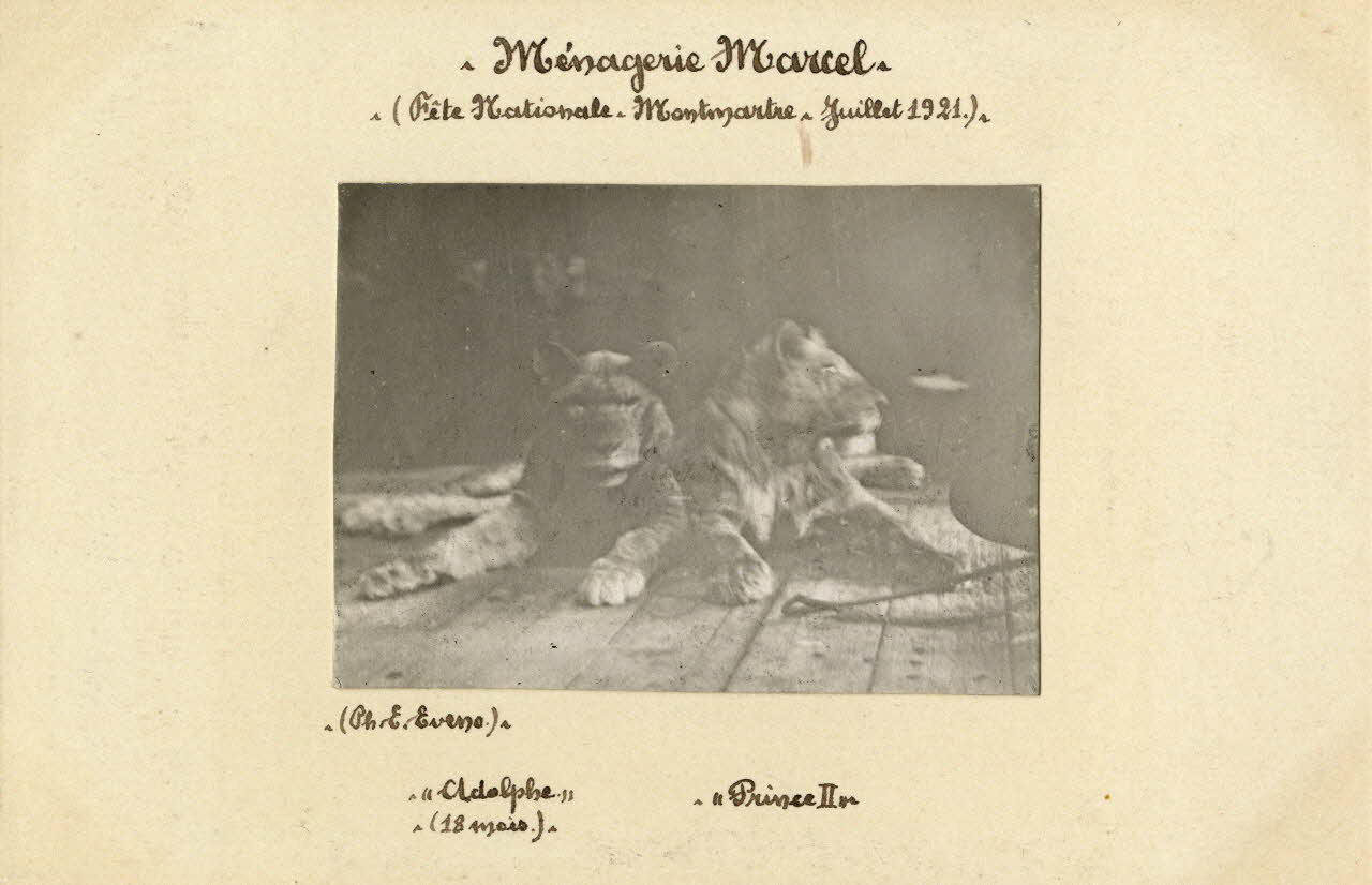 Edouard Eveno photographie Album n°4 du fonds Soury Ile-de-France, France 1921/07/01 Sou.4.155.3 Photo