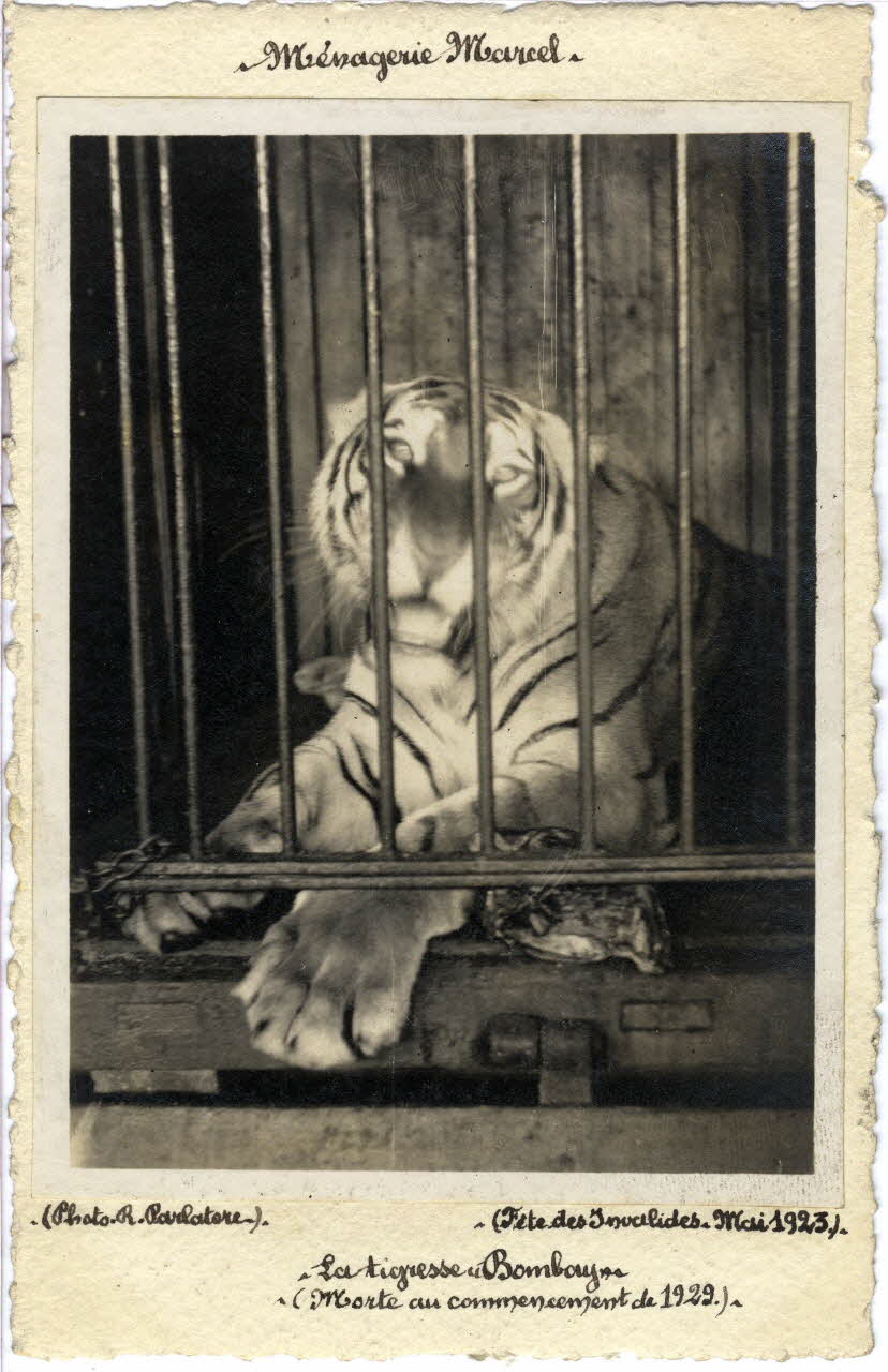 Robert Parlatore photographie Album n°4 du fonds Soury Ile-de-France, France 1923/05/01 Sou.4.161.2 Photo Mucem