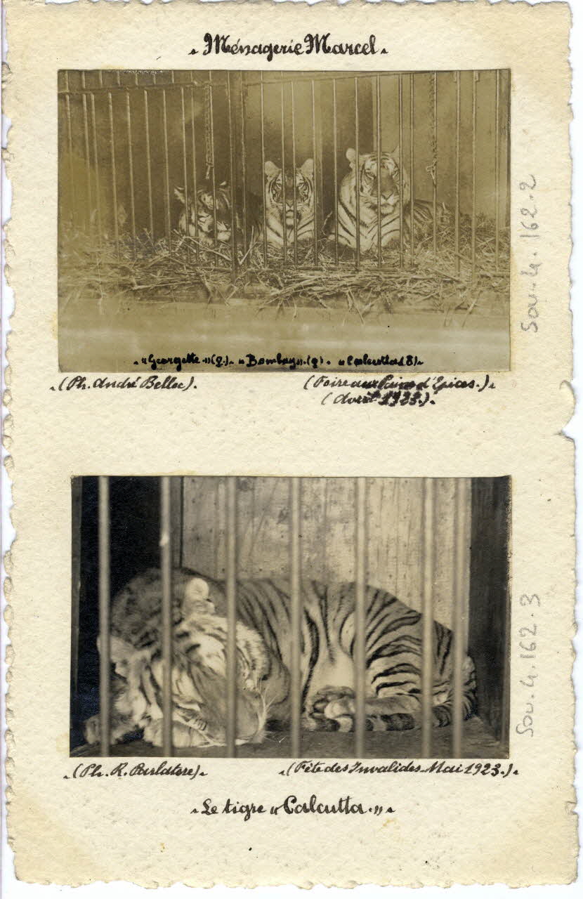 Robert Parlatore photographie Album n°4 du fonds Soury Ile-de-France, France 1923/05/01 Sou.4.162.3 Photo