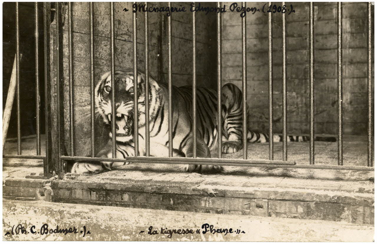 Charles Bodmer photographie Album n°4 du fonds Soury 1908 Sou.4.33.1 Photo