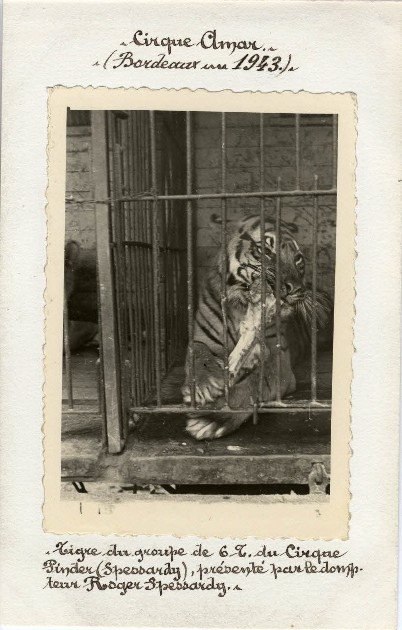 Anonyme photographie Album n°6 du fonds Soury Aquitaine, France 1943 Sou.6.10.1 Photo