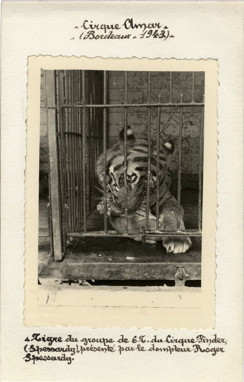 Anonyme photographie Album n°6 du fonds Soury Aquitaine, France 1943 Sou.6.10.2 Photo