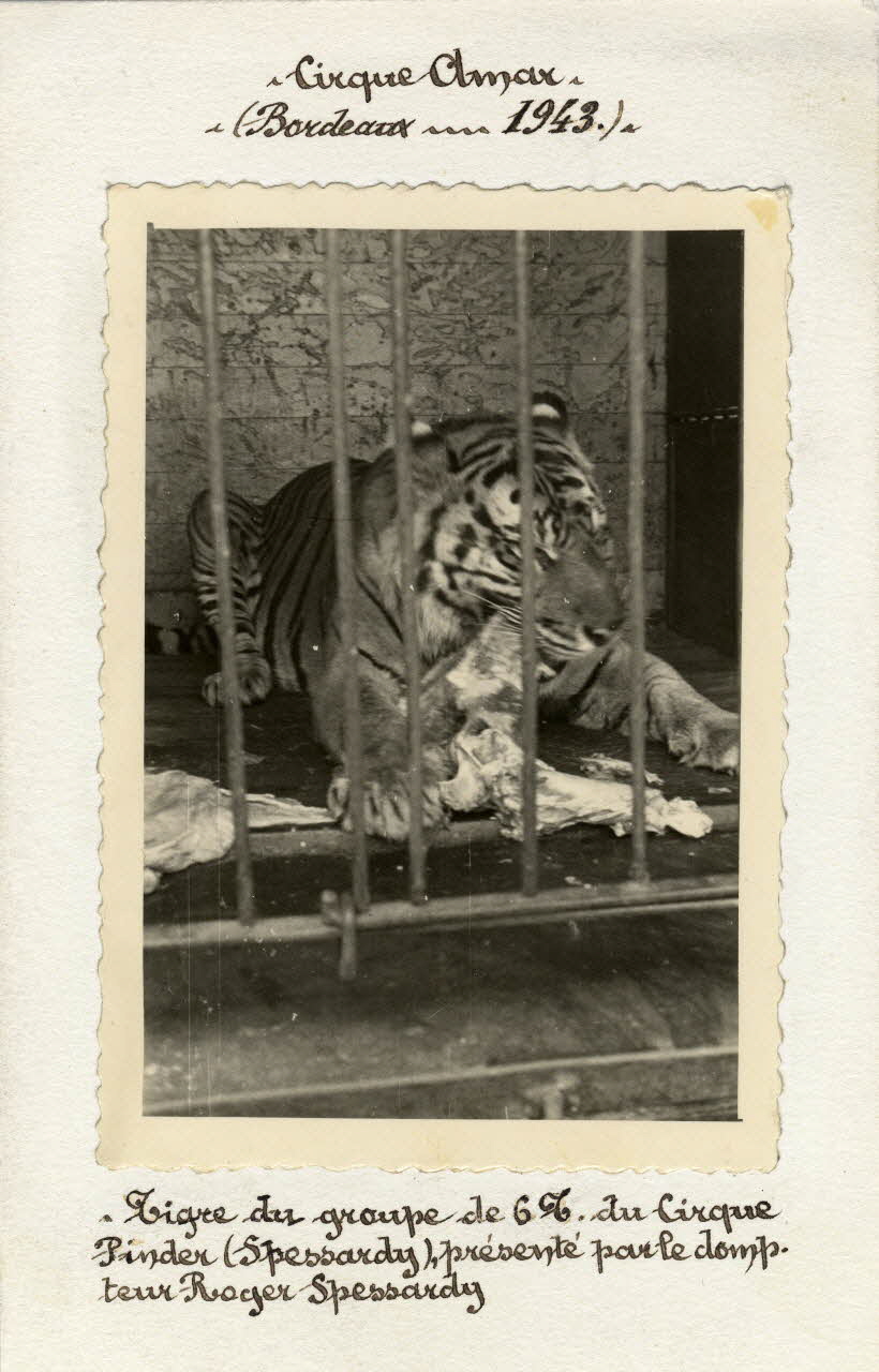 Anonyme photographie Album n°6 du fonds Soury Aquitaine, France 1943 Sou.6.11.1 Photo