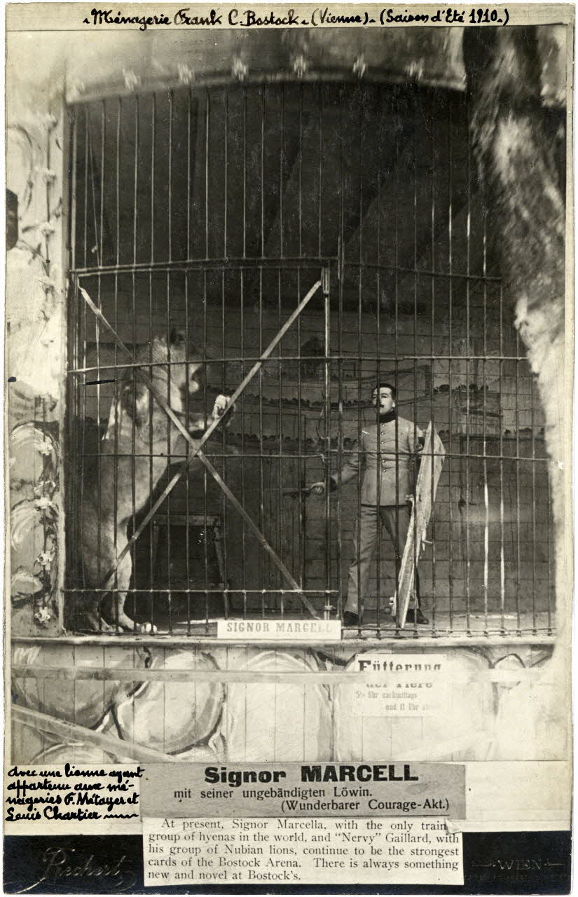 Rechert photographie Album n°6 du fonds Soury Autriche 1910 Sou.6.115.1 Photo