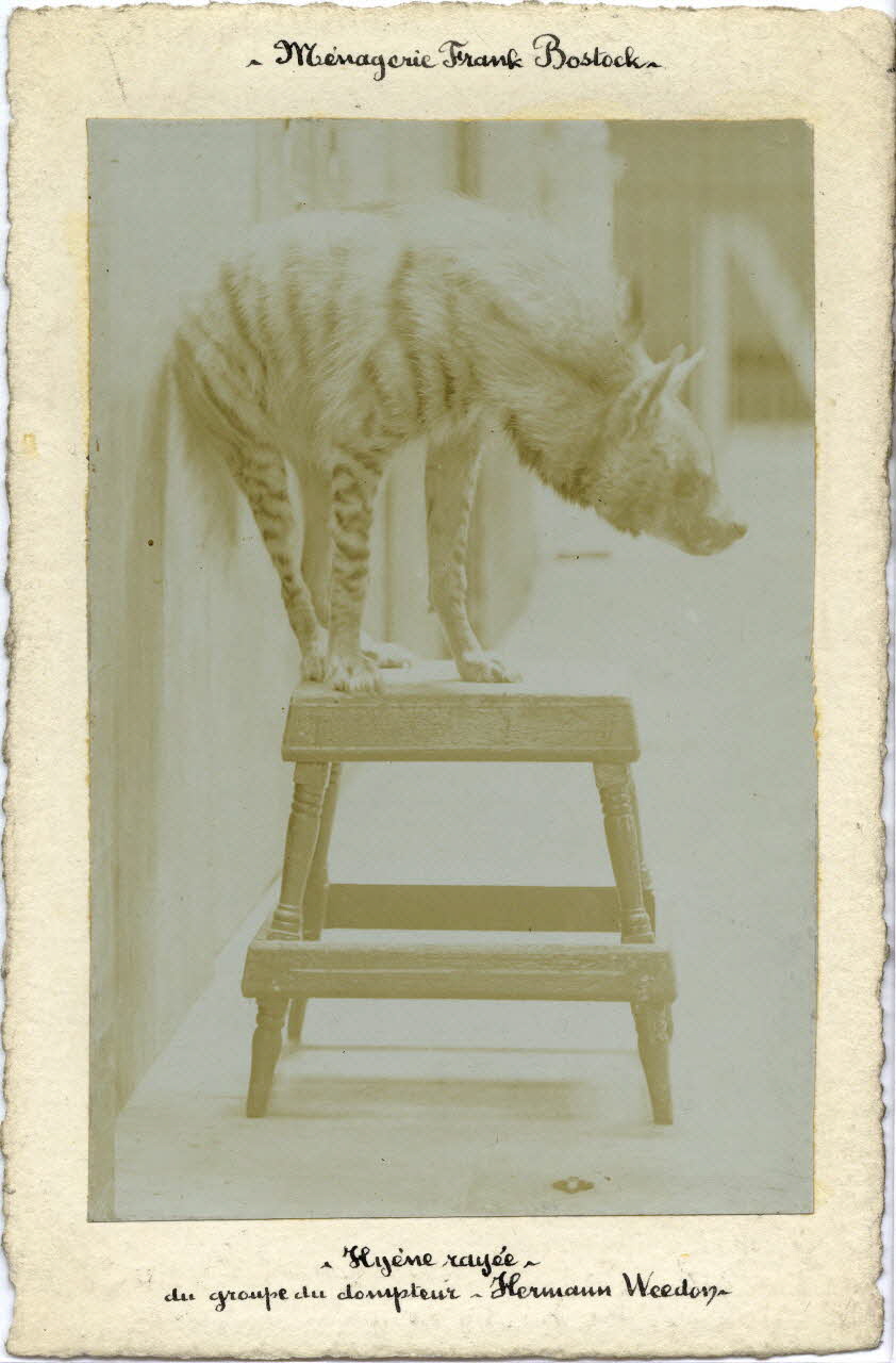 photographie Album n°6 du fonds Soury Sou.6.123.2 Photo