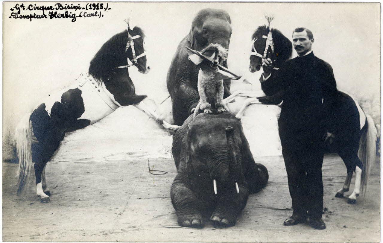 Anonyme photographie Album n°6 du fonds Soury 1913 Sou.6.20.2 Photo