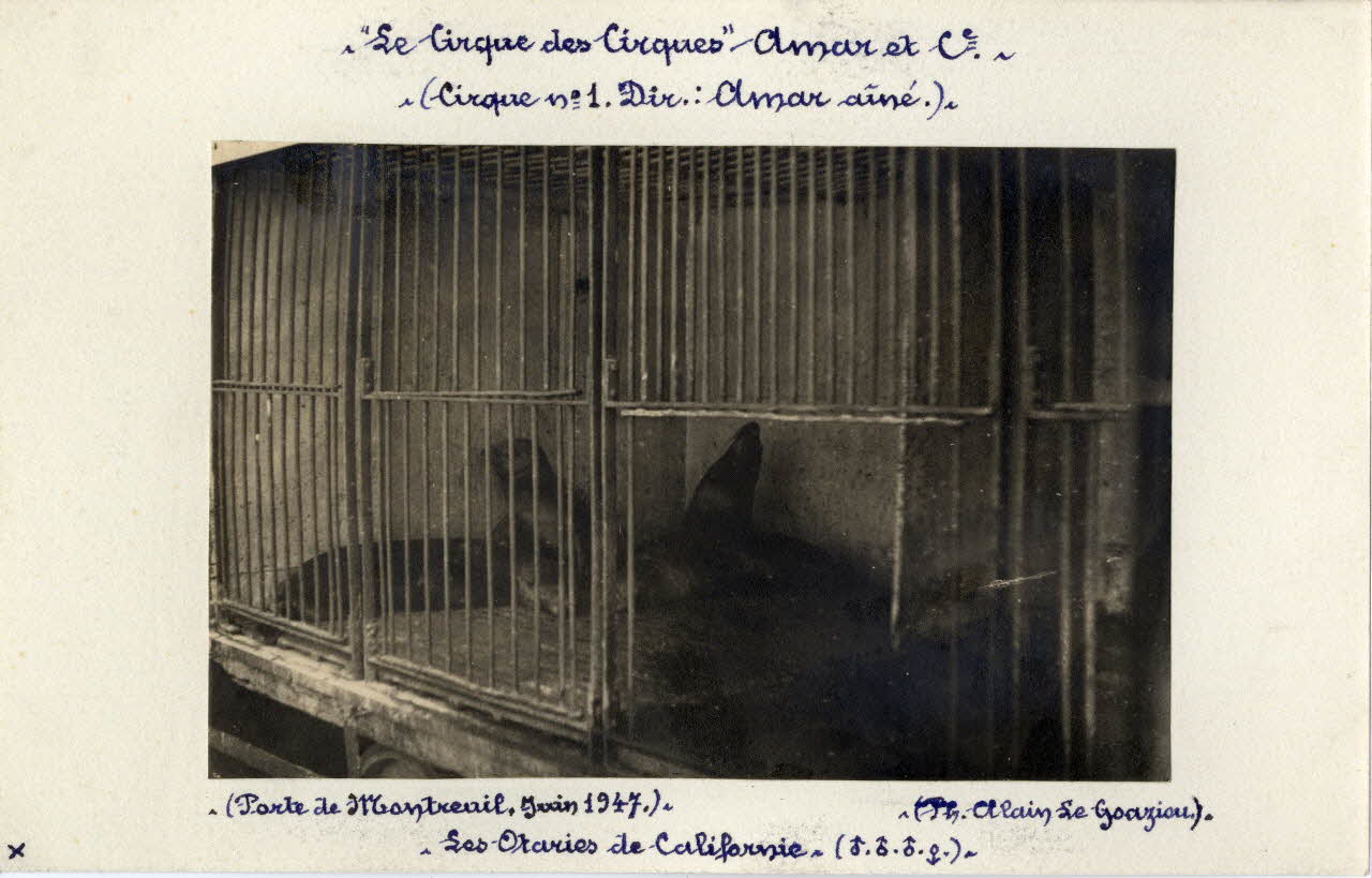 Alain Le Goaziou photographie Album n°6 du fonds Soury Ile-de-France, France 1947/06/01 Sou.6.3.1 Photo