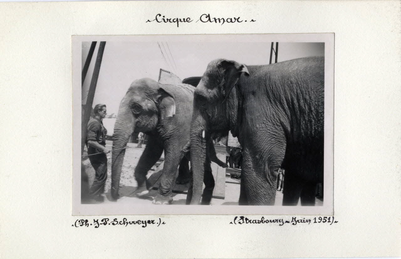 Schweyer photographie Album n°6 du fonds Soury Alsace, France 1951/06/01 Sou.6.5.1 Photo