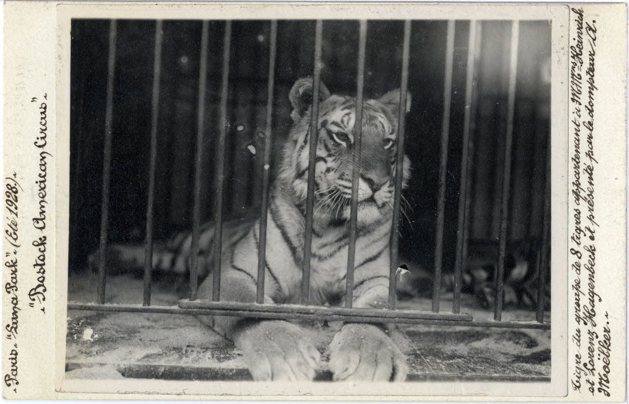 Anonyme photographie Album n°6 du fonds Soury Ile-de-France, France 1928 Sou.6.61.1 Photo