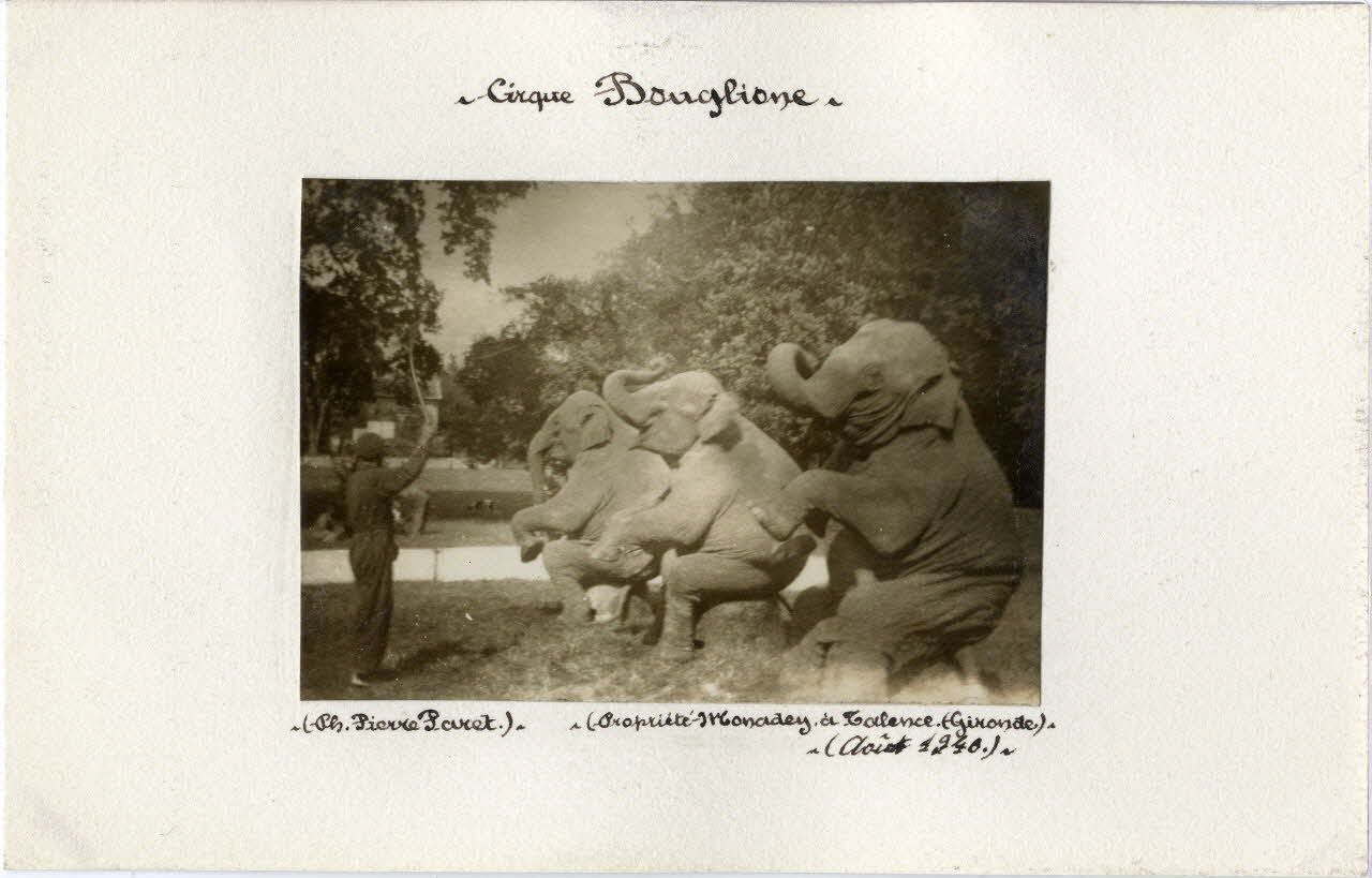 Pierre Paret photographie Album n°6 du fonds Soury Aquitaine, France 1940/08/01 Sou.6.7.2 Photo
