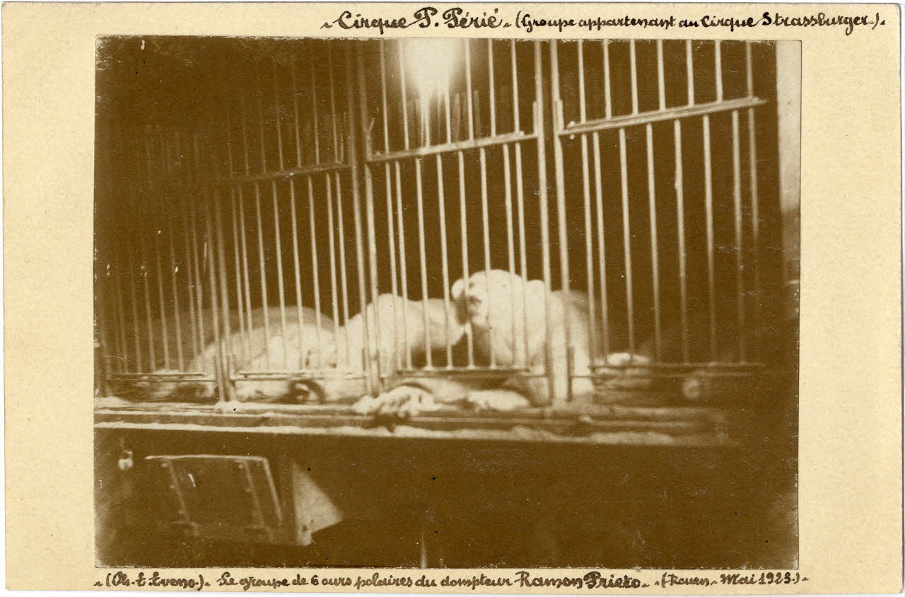 Edouard Eveno photographie Album n°6 du fonds Soury Haute-Normandie, France 1923/05/01 Sou.6.76.2 Photo