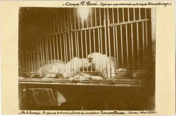 Edouard Eveno photographie Album n°6 du fonds Soury Haute-Normandie, France 1923/05/01 Sou.6.76.2  Photo
