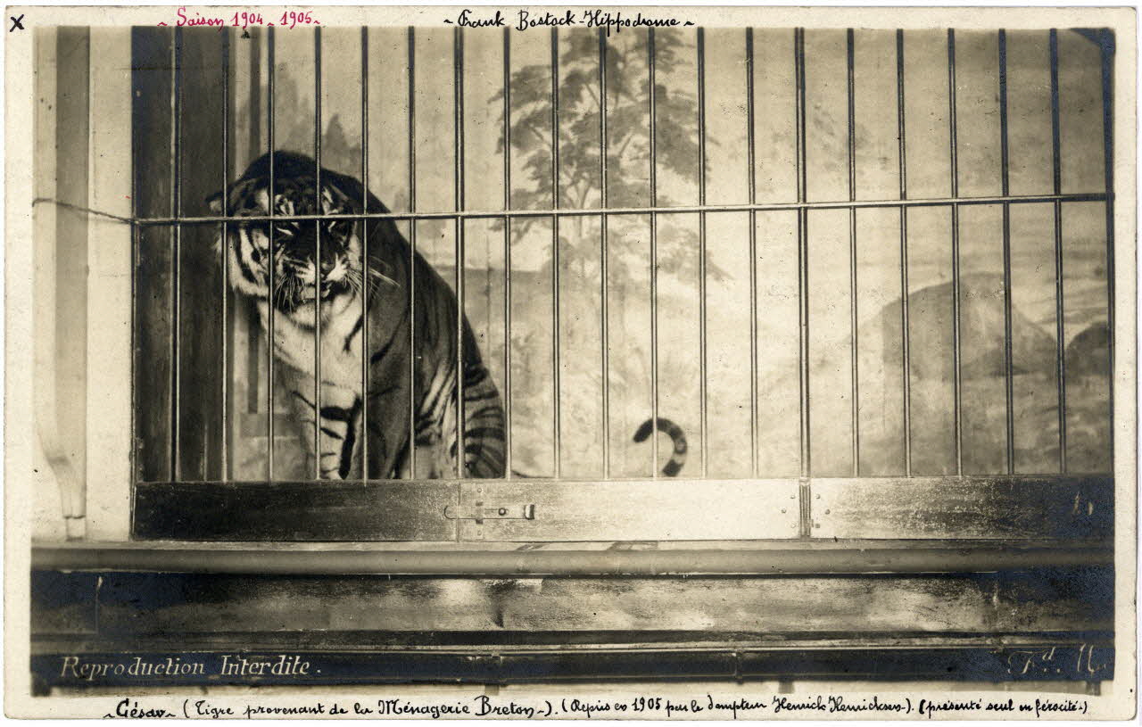photographie Album n°7 du fonds Soury Sou.7.10.2 Photo