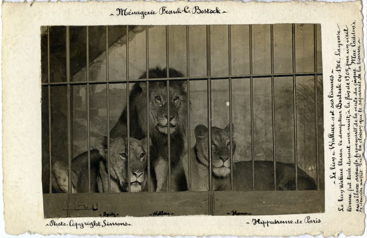 photographie Album n°7 du fonds Soury Sou.7.4.2 Photo Mucem