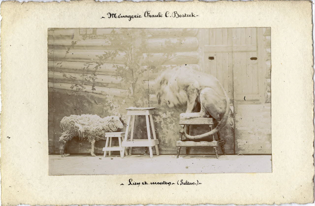 photographie Album n°7 du fonds Soury Sou.7.5.1 Photo