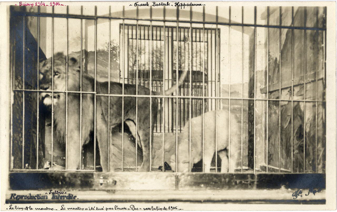 Fd [?] Mac photographie Album n°7 du fonds Soury Ile-de-France, France 1904-1905 Sou.7.7.2 Photo