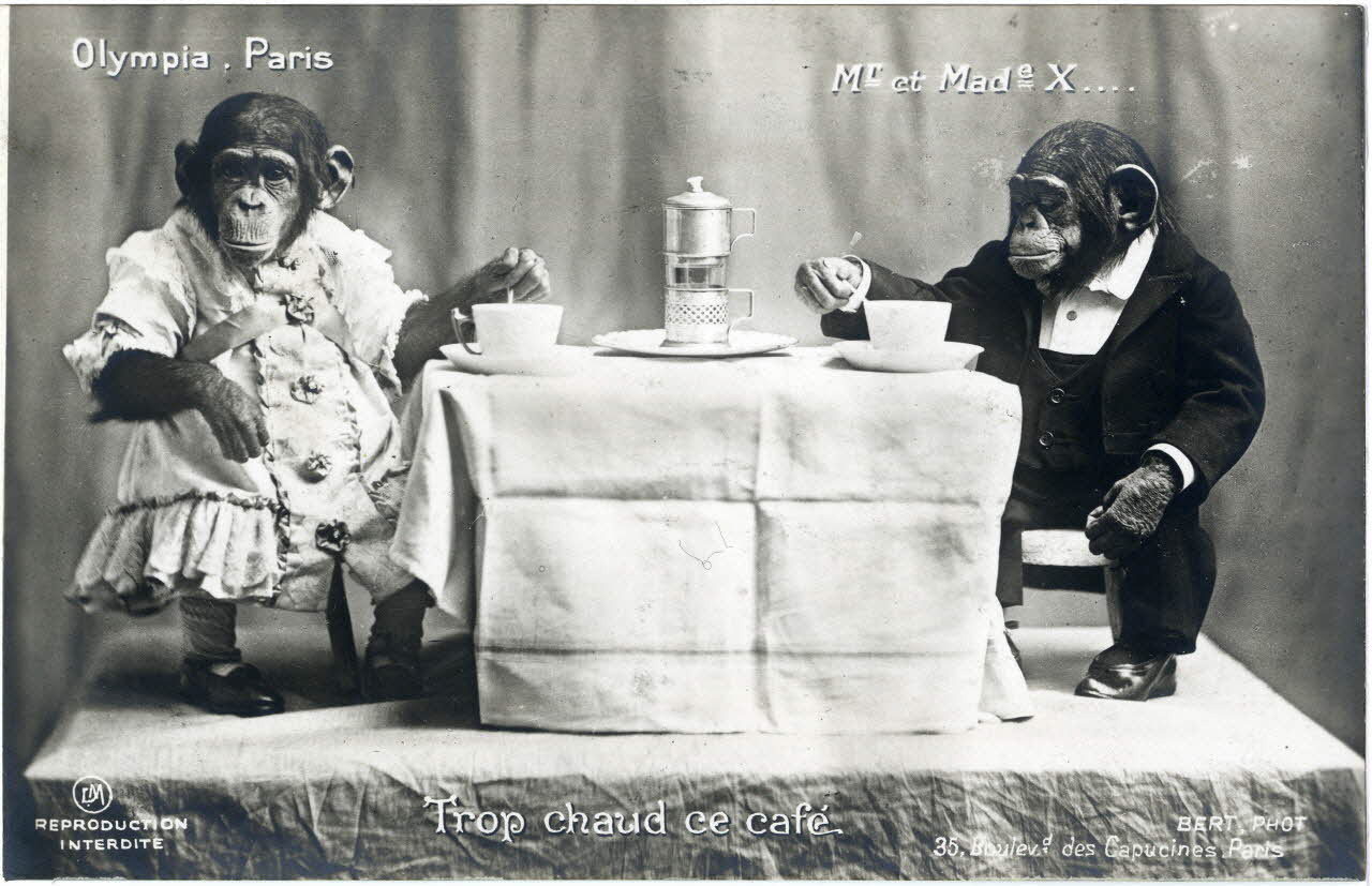 photographie Album n°8 du fonds Soury Sou.8.114.1 Photo