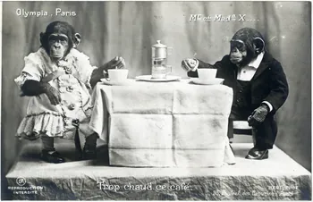 photographie Album n°8 du fonds Soury Sou.8.114.1 Photo